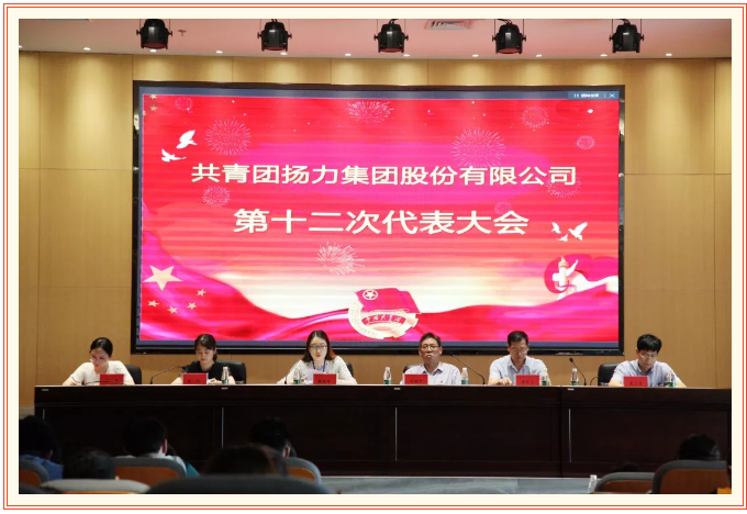 共青團揚力集團股份有限公司第十二次代表大會圓滿召開！