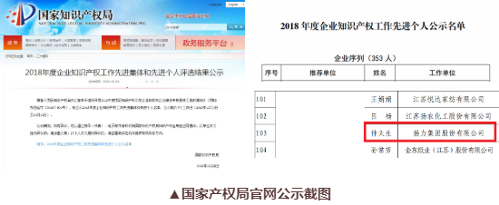 喜訊丨揚力集團總工程師仲太生榮獲“2018年度企業(yè)知識產權工作先進個人”榮譽稱號！